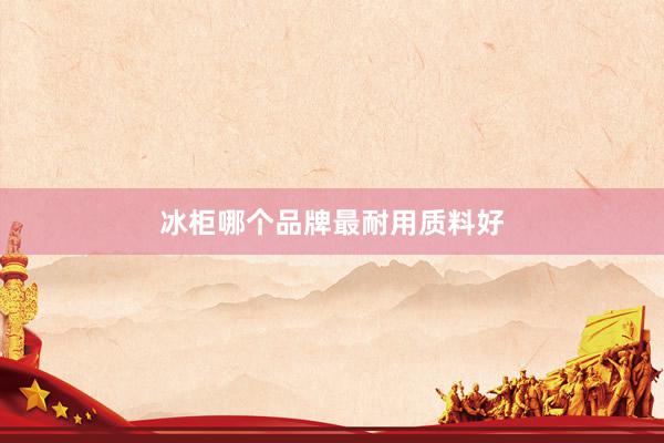 冰柜哪个品牌最耐用质料好